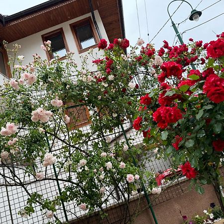 Imas Apartment Sarajevo Bagian luar foto