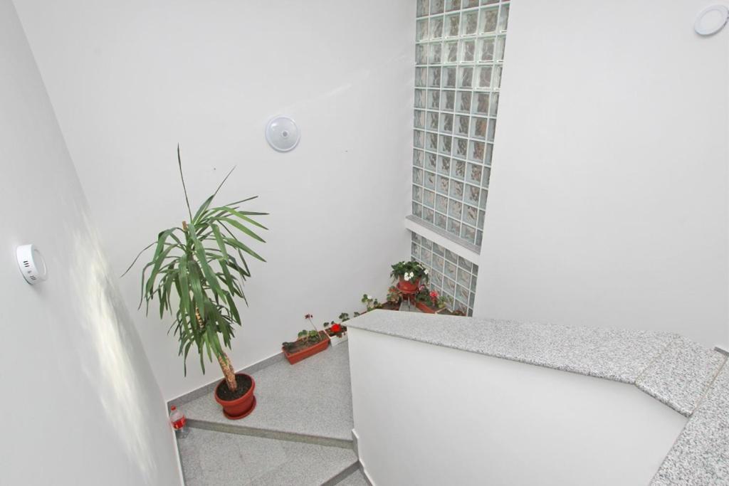 Imas Apartment Sarajevo Bagian luar foto