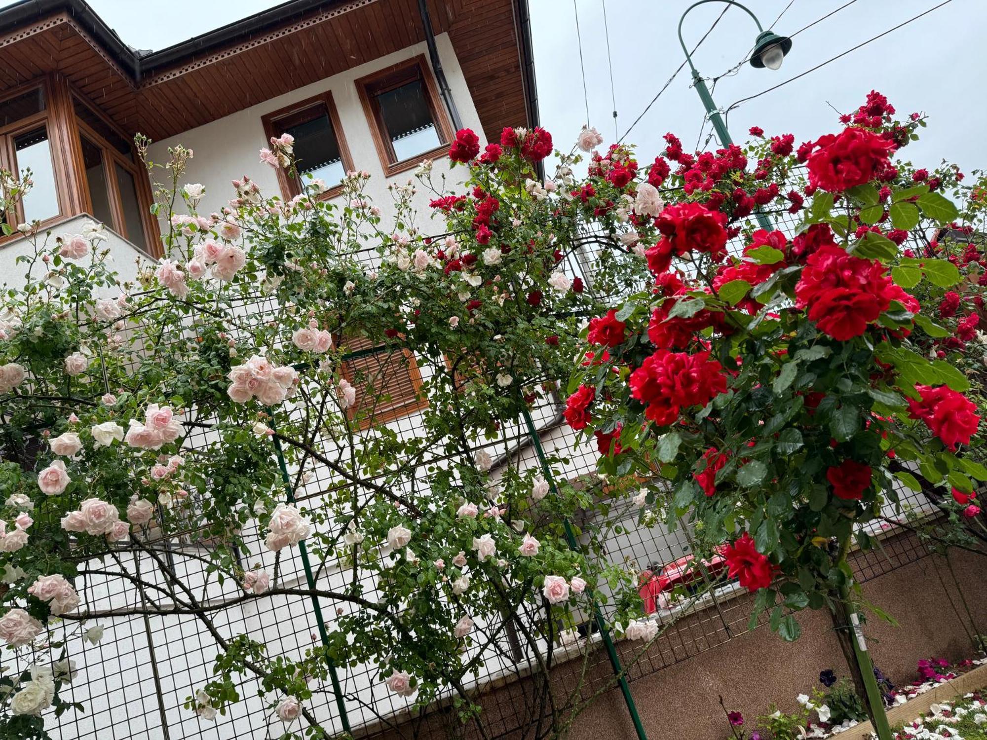 Imas Apartment Sarajevo Bagian luar foto